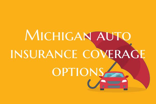 Michigan auto insurance coverage options